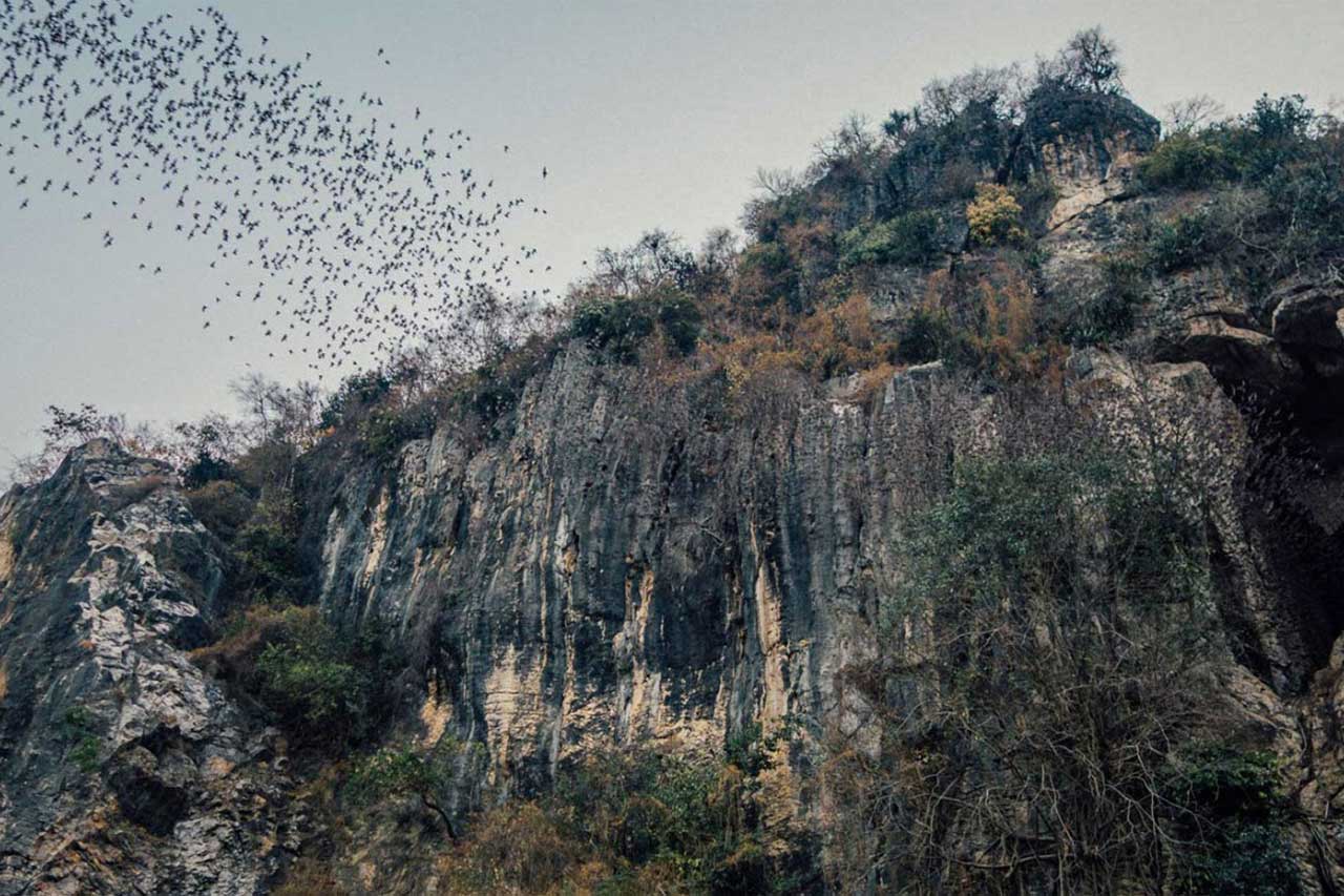 Bat-Cave-in-Cambodia